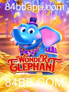 WonderElephant: Aventuras e Estratégias no Novo Jogo